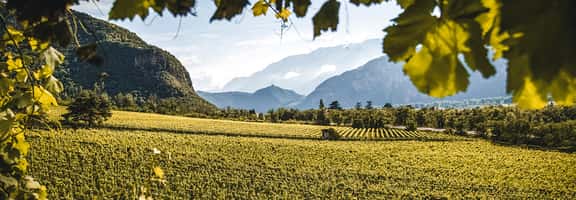 L'eccellenza dell'Alto Adige