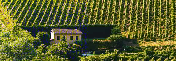 Casale immerso nei vigneti dell’Irpinia – paesaggio della denominazione Taurasi DOCG