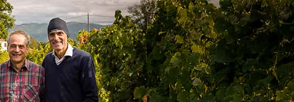 Produttori umbri tra i filari del vigneto – volti e tradizione della viticoltura familiare in Umbria