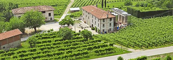 Veduta aerea di una cantina immersa nei vigneti del Veneto – territorio vocato alla produzione vinicola