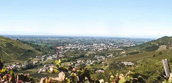 La culla italiana del Pinot Nero