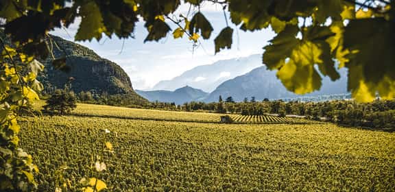 Alto Adige - le Dolomiti a cena