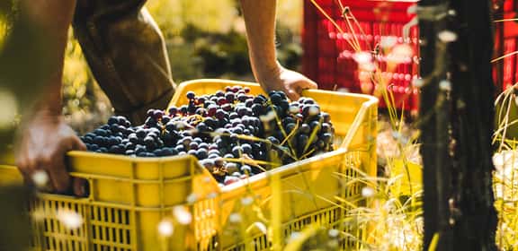 Promozione imperdibile da Sparici Landini