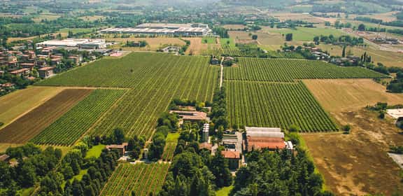 Vigneti di Lambrusco di Sorbara in Emilia-Romagna, panorama aereo delle vigne tipiche della denominazione