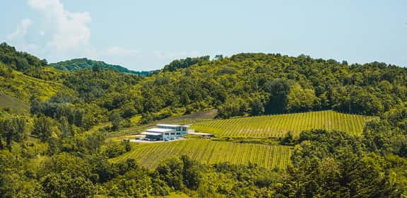 Panorama collinare con vigneti Greco e azienda vinicola