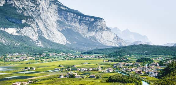 I vini dalle montagne