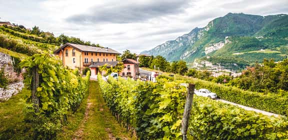 Le bollicine dalle montagne
