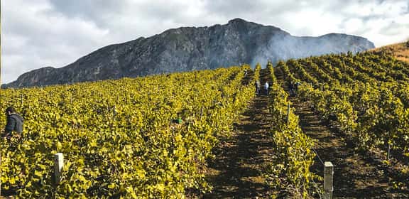 Vigneti sulle pendici dell’Etna per la produzione di Etna DOC