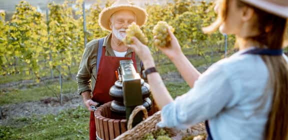 Due produttori brindano con vino rosso tra i filari – convivialità e tradizione vitivinicola del Trentino