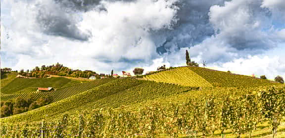La freschezza del Nord