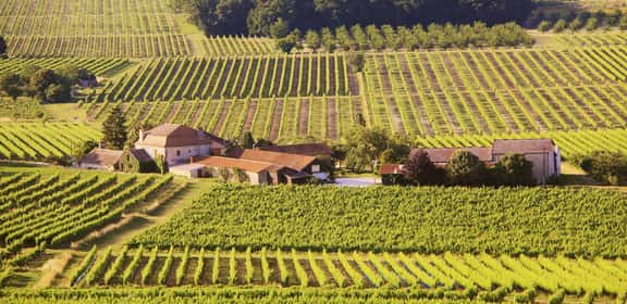Tenuta vinicola circondata dai vigneti del Monbazillac