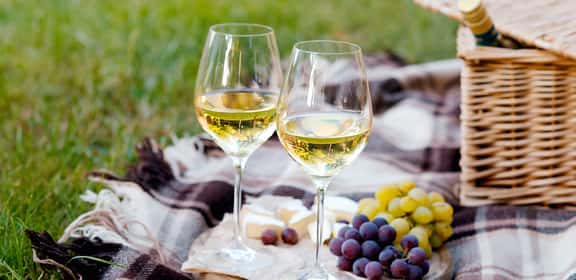 Calici di vino bianco su un plaid per picnic, atmosfera estiva all’aperto