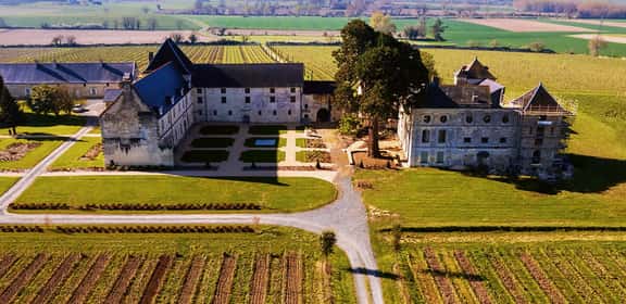 Castello e vigneti nella regione dell'Anjou, cuore della Valle della Loira e della sua tradizione vitivinicola