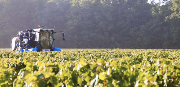 Macchina per la vendemmia tra i vigneti dello Chablis, celebre territorio della Borgogna per il vino bianco da Chardonnay