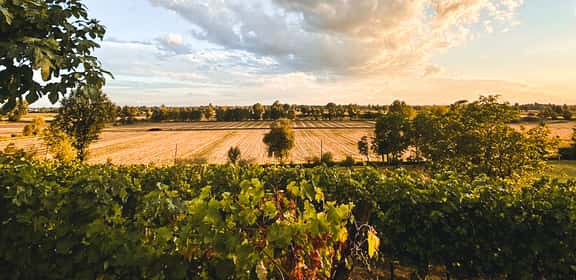 Trento DOC Extra Brut – La freschezza delle Dolomiti