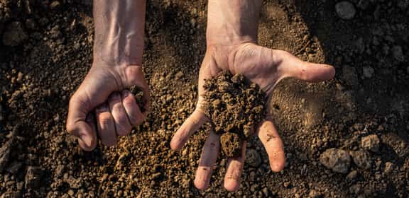 Banner illustrativo suoli per vigneto