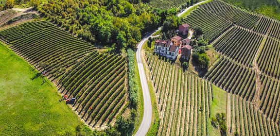Vigneti del Nebbiolo d’Alba DOC tra le colline del Roero e delle Langhe