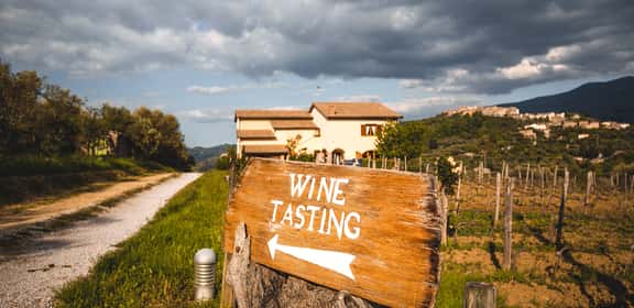 Cartello “Wine Tasting” tra i vigneti della Toscana, invito alla degustazione di vini tipici toscani
