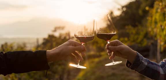 Barbera d'Alba in promozione!