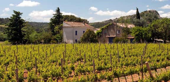 Vigneti e case rurali nella denominazione Saint-Chinian