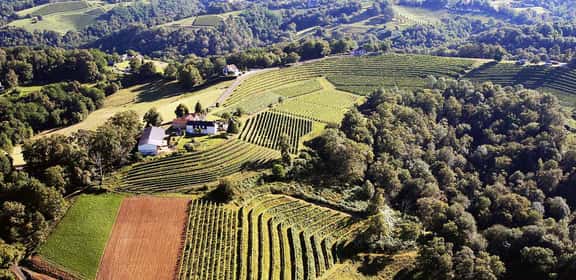Vigneti terrazzati del Jurançon tra colline e boschi pirenaici