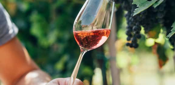 Bicchiere di vino rosato al sole tra le vigne, ideale per degustazioni di vini rosati di qualità