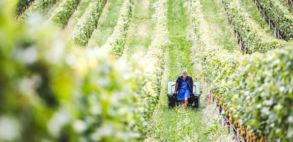 Innovazione e tradizione 