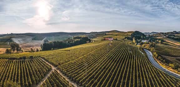 Vigneti del Nizza DOCG nel cuore delle colline astigiane