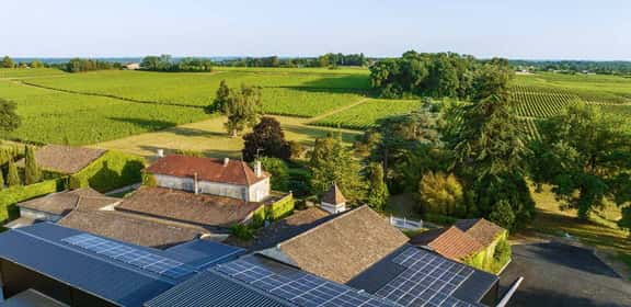 Vigneti di Côtes de Bordeaux AOP nelle colline della regione di Bordeaux