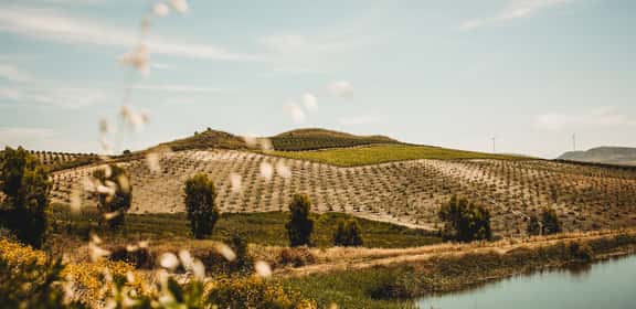Dal cuore della Sicilia
