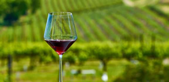 Bicchiere di vino rosso davanti ai filari di un vigneto, atmosfera delle regioni vinicole di Francia