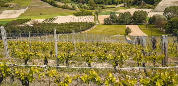 Un Cabernet tutto Piemontese