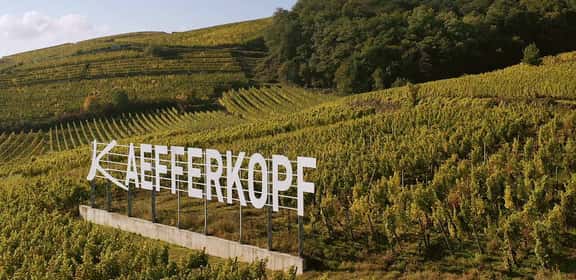 Vigneti terrazzati nella zona collinare di produzione del Silvaner