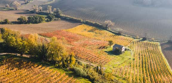 Un classico senza tempo
