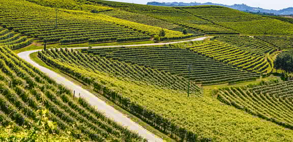 Una piccola regione dai grandi vini