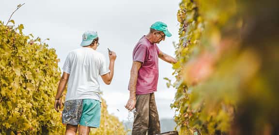 Il Re delle Langhe