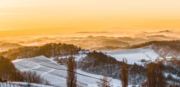 Tramonto invernale sui vigneti alpini, atmosfera après-ski.
