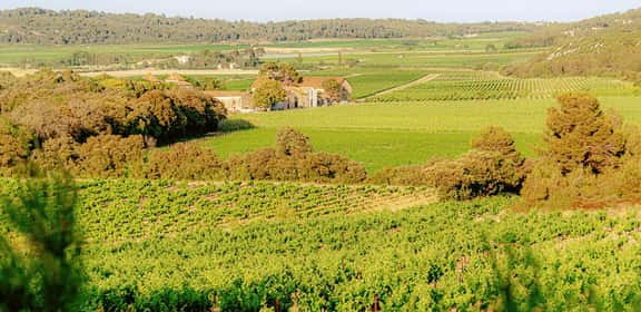 Vigneti soleggiati e tenute rurali nella denominazione La Clape