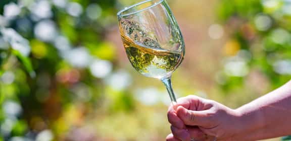 Calice di vino bianco al sole