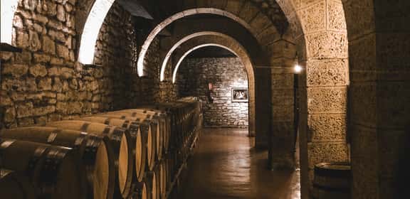 Botti in rovere per vini Bolgheri DOC in cantina toscana.
