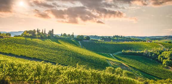 Colline e vigneti del Veneto, terra di grandi vini italiani