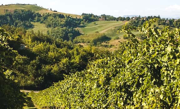 Terraquilia