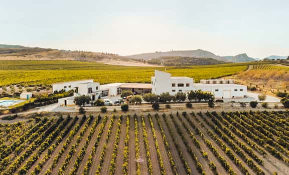 Tenuta Morreale Agnello
