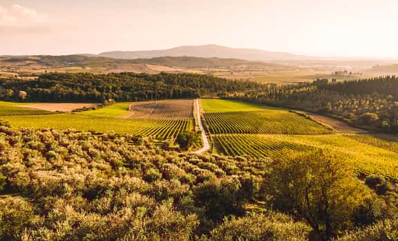 Tenuta di Bibbiano