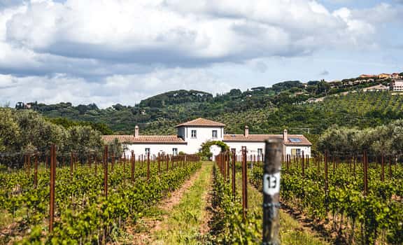 Tenuta Campo al Signore