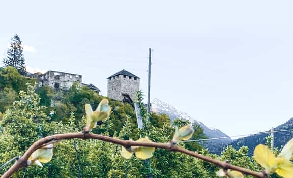 Wieserhof