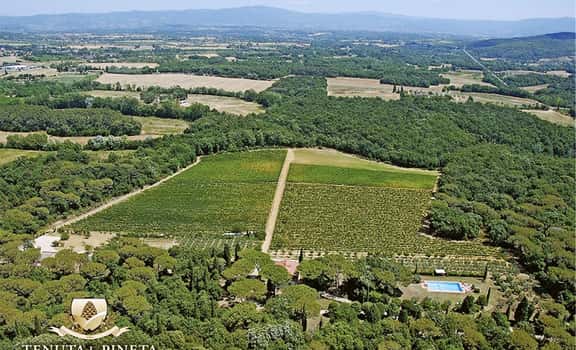 La Pineta