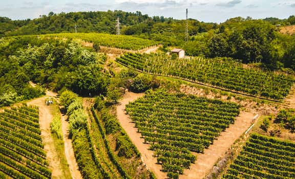 Poderi Vaiot