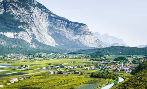 Pisoni winery Pisoni