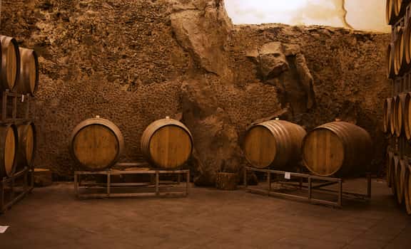 Flavia Rebellious Wines